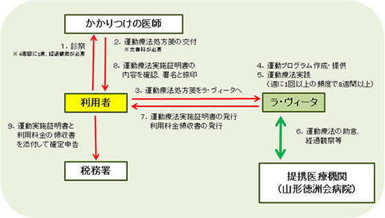 指定運動療法の手続きの流れ